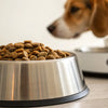 How Much Should I Feed My Dog Based on Weight?