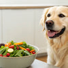 How Much Should I Feed My Dog Fresh Food?