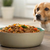 How Much Should I Feed My Dog Homemade Food? A Comprehensive Guide
