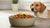 How Much Should I Feed My Dog Homemade Food? A Comprehensive Guide