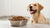 How Much Should I Feed My Dog Wet Food? A Comprehensive Guide