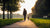 How Much Should I Walk My Dog to Lose Weight? A Comprehensive Guide