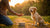 How Much Should My Dog Eat by Weight? A Comprehensive Guide for Pet Parents