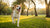 How Much Should My Dog Exercise? A Comprehensive Guide for Pet Owners
