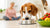 How Much to Decrease Dog Food for Weight Loss: A Comprehensive Guide