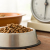 How Much to Feed a Dog by Weight (kg): The Ultimate Guide for Pet Owners
