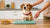 How Much to Feed a Dog by Weight (lbs): The Ultimate Guide for Pet Parents
