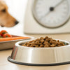 How Much to Feed a Dog for Weight Loss: A Comprehensive Guide