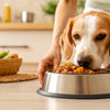 How Much to Feed a Dog Home Cooked Food: A Comprehensive Guide for Pet Parents