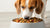How Much to Feed Sundays Dog Food: A Comprehensive Guide for Pet Owners-140652577007