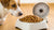 How Much to Feed Your Dog by Weight: A Comprehensive Guide for Pet Owners