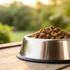 How Much to Feed Your Dog for Weight Loss: A Comprehensive Guide