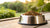 How Much to Feed Your Dog for Weight Loss: A Comprehensive Guide