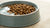 How Much Water to Add to Dog Food for Optimal Hydration and Nutrition