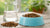 How Much Water to Add to Dry Dog Food for Optimal Health