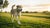 How Much Weight Can a Dog Lose in a Week? Understanding Canine Weight Loss