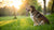 How Much Weight Should a Dog Gain During Pregnancy: A Comprehensive Guide for Pet Owners