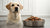 How Much Wet Dog Food for a 20 lb Dog: A Comprehensive Guide