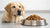 How Much Wet Dog Food for a 70 lb Dog: A Comprehensive Guide for Pet Owners