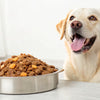 How Much Wet Dog Food Should a Dog Eat? A Comprehensive Guide for Pet Owners