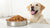 How Much Wet Dog Food Should a Dog Eat? A Comprehensive Guide for Pet Owners