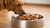 How Much Wet Dog Food Should I Feed My 15 lb Dog? The Complete Guide