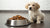 How Much Wet Dog Food Should I Feed My Puppy? A Comprehensive Guide for Pet Owners