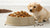 How Much Wet Dog Food to Feed a Puppy: A Comprehensive Guide for Puppy Parents