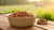 How Much Wet Food for Dog: A Comprehensive Guide for Pet Owners
