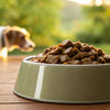 How Much Wet Food for Dog Per Day: A Comprehensive Feeding Guide