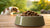 How Much Wet Food for Dog Per Day: A Comprehensive Feeding Guide