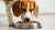 How Much Wet Food Should a 50 lb Dog Eat? A Comprehensive Guide
