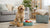 How Much Wet Food Should a Small Dog Eat? A Comprehensive Guide