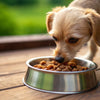 How Much Wet Food Should I Feed My Small Dog? A Comprehensive Guide