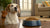 How Much Wet Food Should You Feed a 10 lb Dog? A Complete Guide