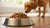 How Much Wet Food to Feed a 10 lb Dog: A Comprehensive Guide for Pet Parents