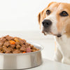 How Much Wet Food to Feed a 15-Pound Dog: A Comprehensive Guide