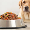 How Much Wet Food to Feed a 20 lb Dog: A Comprehensive Guide for Pet Owners