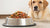 How Much Wet Food to Feed a 20 lb Dog: A Comprehensive Guide for Pet Owners