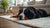 How Much Wet Food to Feed a Senior Dog: A Comprehensive Guide