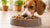How Much Wet Food to Feed My Dog: A Comprehensive Guide for Pet Owners