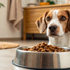How Much Wet Food to Feed Your Dog: The Ultimate Guide for Pet Owners