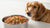 How Much Wet Food to Give Your Dog: A Comprehensive Guide