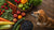How Much Whole Food to Feed a Dog: A Comprehensive Guide for Pet Parents-140545425647