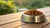 How Often Should I Wash My Dog's Food Bowl? A Comprehensive Guide