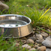 How Often Should I Wash My Dog's Water Bowl? A Complete Guide for Pet Owners