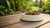 How Often Should You Clean Your Dog's Food Bowl? Essential Guidelines for Pet Owners