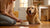 How Often Should You Give Your Dog Wet Food? A Comprehensive Guide for Pet Owners