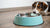 How Often Should You Wash Dog Water Bowl? Essential Cleaning Tips for Pet Owners-140791611631