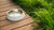 How Often Should You Wash Your Dog's Water Bowl: A Comprehensive Guide for Loving Pet Owners-140795085039